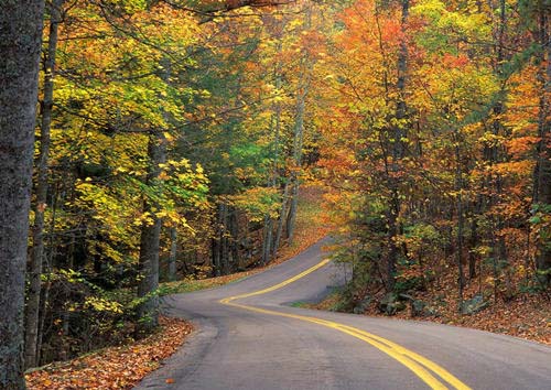 灌縫膠廠家、貼縫帶廠家環(huán)保公益倡議：健康出行，共建美好公路