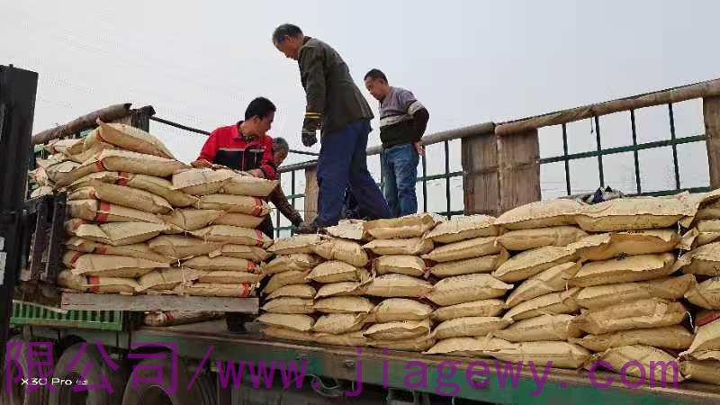 路面白改黑方案有幾種？