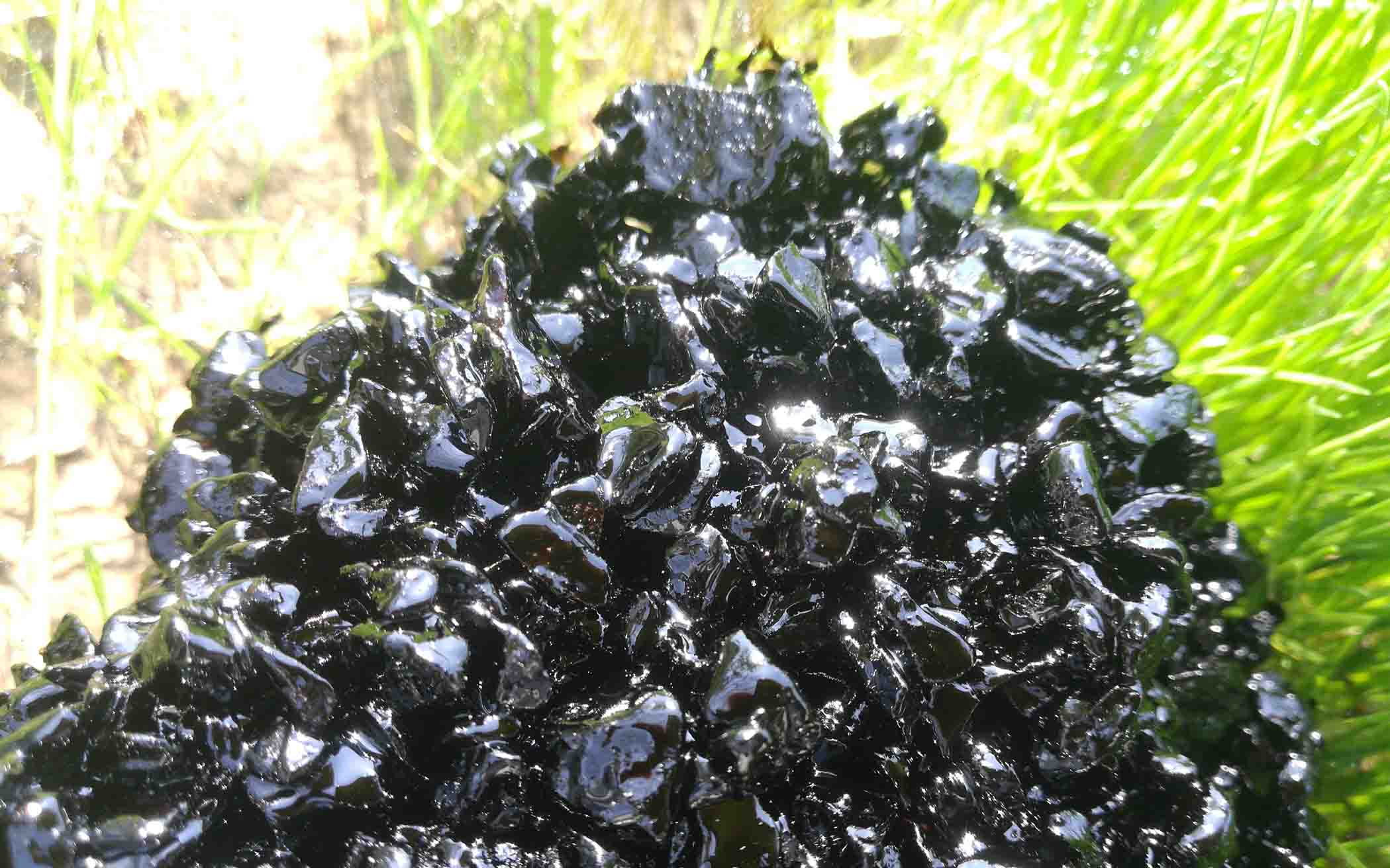 瀝青冷補(bǔ)料究竟有什么魅力能得到道路養(yǎng)護(hù)工人如此垂愛(ài)？